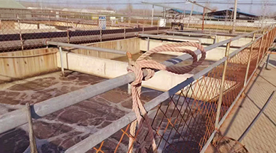 ?雷茨空氣懸浮風(fēng)機(jī)，讓食品廠(chǎng)污水處理節(jié)能30%-50%